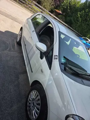 Fiat Punto Evo Punto EVO  5-Türer 1.4 8V Active