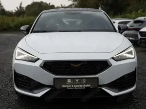 CUPRA Leon 2.0 TSI DSG NAVI PANO BEATS LED SHZ PDC Bild 2
