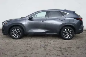 Lexus NX 350h Luxury Line Bild 2