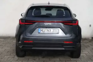 Lexus NX 350h Luxury Line Bild 4