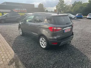 Ford EcoSport Titanium mehrere Modelle vorrätig-Garantie Bild 5