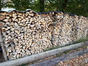 Holz Brennholz Buche Esche gemischt