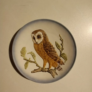 Barn Owl Porzellan-Wandteller