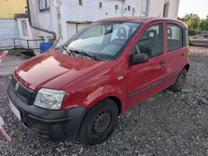 Fiat Panda 1.1 Active | Cityflitzer | ohne TÜV
