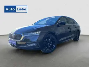 Skoda Octavia OCTAVIA FIRST EDITION 1.5TSI-MATRIX|PANO|ACC|uvm