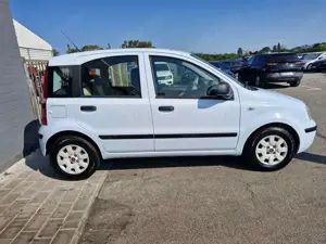 Fiat Panda Panda 1.2 Dynamic Bild 4
