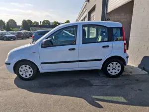 Fiat Panda Panda 1.2 Dynamic Bild 3