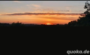 1-2 Zimmer Wohnung gesucht 