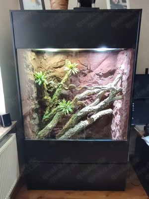 Terrarium 120x60x200 mit Glasfaser-Echtfelswand wie NEU!