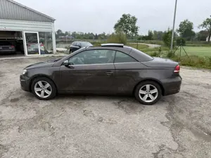 Volkswagen Eos 2.0 TDI DSG I Leder I DCC I Pano I Keyless Bild 4