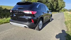 Ford Kuga 2.5 Duratec FHEV TITANIUM X Bild 2