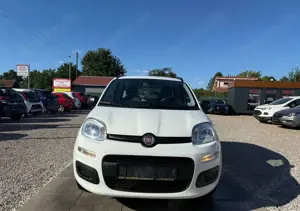 Fiat Panda My Panda Sportsitze Sport Lenkrad Bild 2