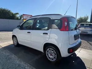 Fiat Panda My Panda Sportsitze Sport Lenkrad Bild 3