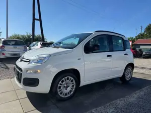 Fiat Panda My Panda Sportsitze Sport Lenkrad Bild 4