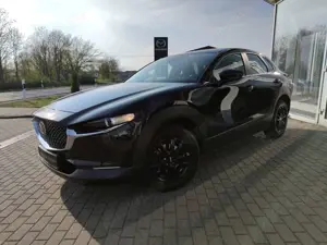 Mazda CX-30 SELECTION PRE-P 360° BOSE Klimaaut Sitzheizg Lenkr Bild 3