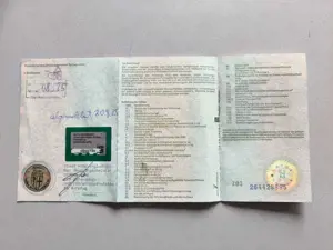 Citroen Berlingo Club M/L1 1.5 Blue-HDI Motorschaden Bild 3