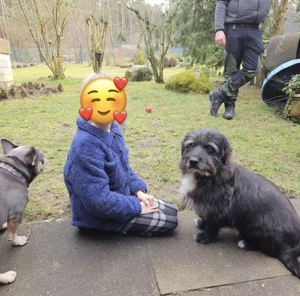 Leroy   ein Gartenliebhaber auf Heimatsuche Bild 6