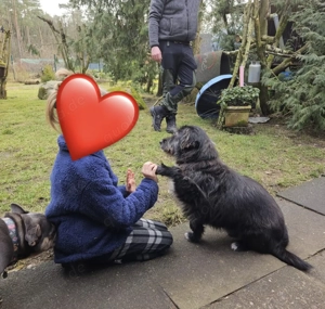 Leroy   ein Gartenliebhaber auf Heimatsuche Bild 4