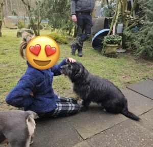 Leroy   ein Gartenliebhaber auf Heimatsuche Bild 8