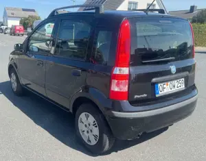 Fiat Panda TÜV 1.Hand sehr Gepflegt Bild 4