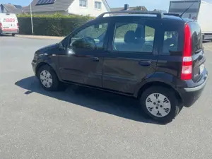 Fiat Panda TÜV 1.Hand sehr Gepflegt Bild 5