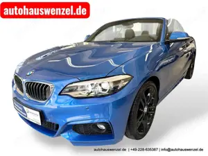BMW 218 i Cabrio M-Sport 6-Gang - 20 tkm -  LEDER KAM NAV