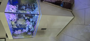 Eheim Incpiria 330 Meerwasser Aquarium