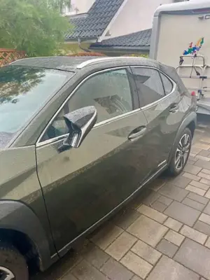 Lexus UX 250h UX 250h Luxury Line