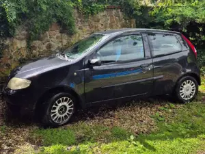 Fiat Punto Punto 1.2 8V