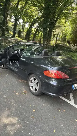 Peugeot 307 Basis