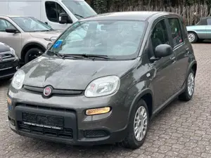 Fiat Panda Hybrid 1,0GSE TechPaket