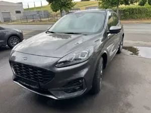 Ford Kuga Kuga 2.0 EcoBlue ST-Line X Start/Stopp (EURO 6d)