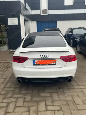 Audi A5 3.0 TDI DPF quattro tiptronic Bild 3