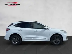 Ford Kuga Plug-In Hybrid ST-Line Sportpaket Bluetooth Bild 5