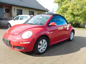 Volkswagen New Beetle Cabriolet 1.8 Turbo|SHZ|PDC| Bild 4