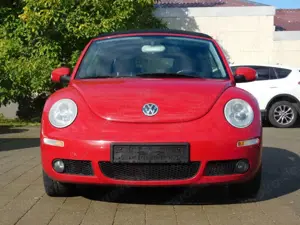 Volkswagen New Beetle Cabriolet 1.8 Turbo|SHZ|PDC| Bild 2