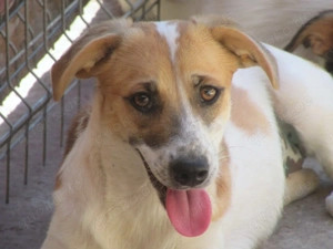 Aurora D im Wachstum - Die Ruhige!