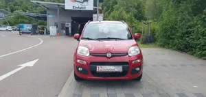 Fiat Panda Bild 2