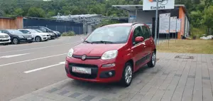 Fiat Panda Bild 3