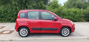 Fiat Panda Bild 4
