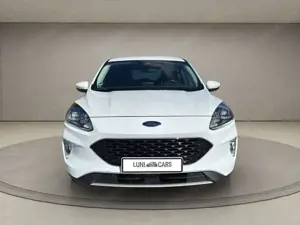 Ford Kuga CC 1.5 / Neues Modell / LED / AHK / Winter Bild 2