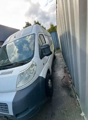 Fiat Ducato Hochr.-Kasten 30 115 Bild 5