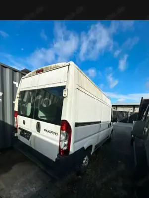 Fiat Ducato Hochr.-Kasten 30 115 Bild 3