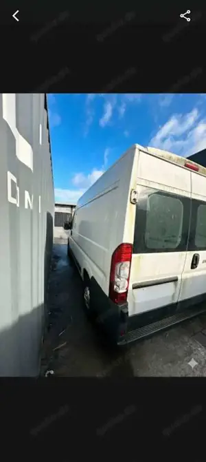 Fiat Ducato Hochr.-Kasten 30 115 Bild 4