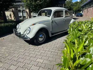 Volkswagen Käfer 1200 Export aus Erstbesitz 42 jahre abgeme