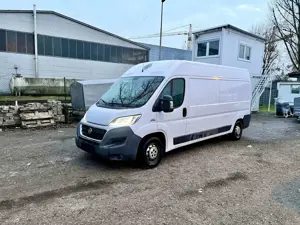 Fiat Ducato L2H2 teilverglast