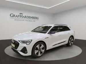Audi e-tron 55 qua. S Line Matrix 360° ACC Navi