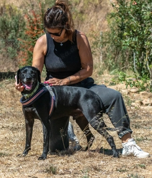 Amadeo, ein guter Kerl! Bild 3