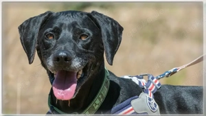 Amadeo, ein guter Kerl!