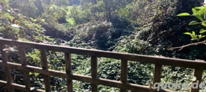 Bauland (  in Reichweiler, für 'Seniorenwohnheim' ...ca.1500m2 voll erschlossen Bild 10